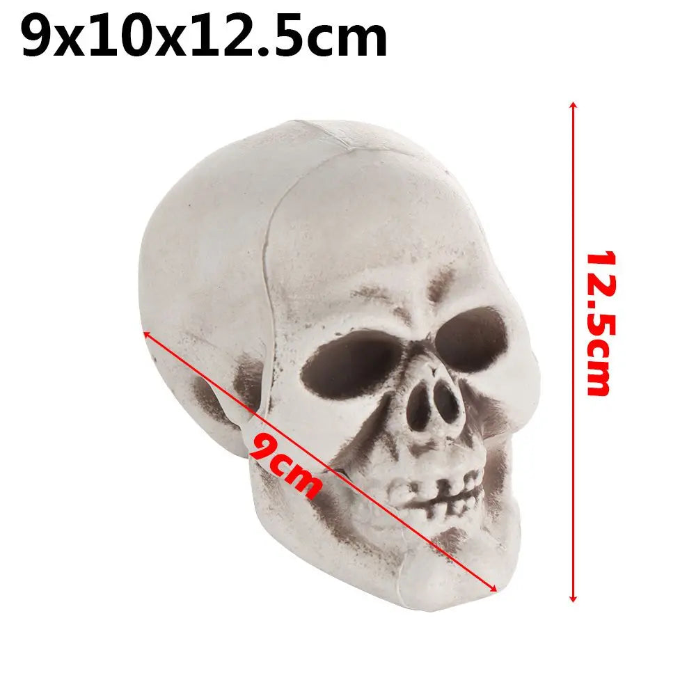 Authentic Horror Skull: Transform Any Space into a Spine-Chilling Experience