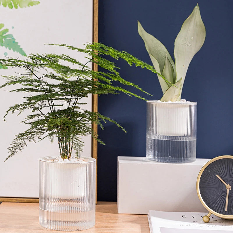 Maceta transparente de doble capa con autorriego: macetero hidropónico con absorción automática de agua para decoración de jardín