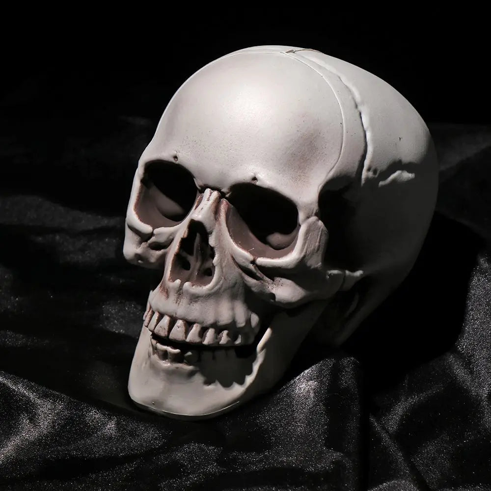 Authentic Horror Skull: Transform Any Space into a Spine-Chilling Experience