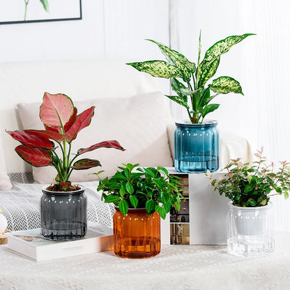 Maceta de plástico para plantas suculentas, maceta con autorriego, maceta de mesa para el hogar, decoración de bonsái para el hogar, decoración moderna