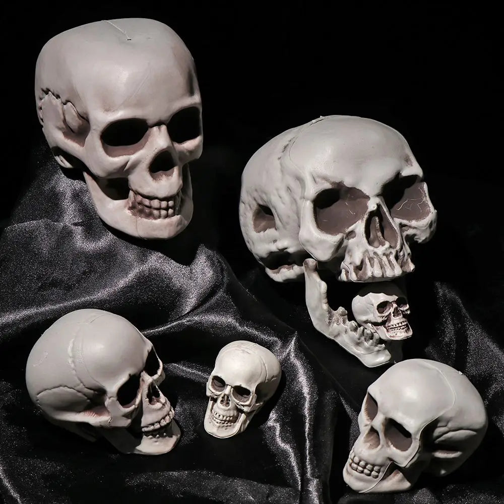 Authentic Horror Skull: Transform Any Space into a Spine-Chilling Experience