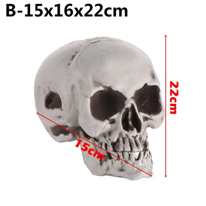 Authentic Horror Skull: Transform Any Space into a Spine-Chilling Experience
