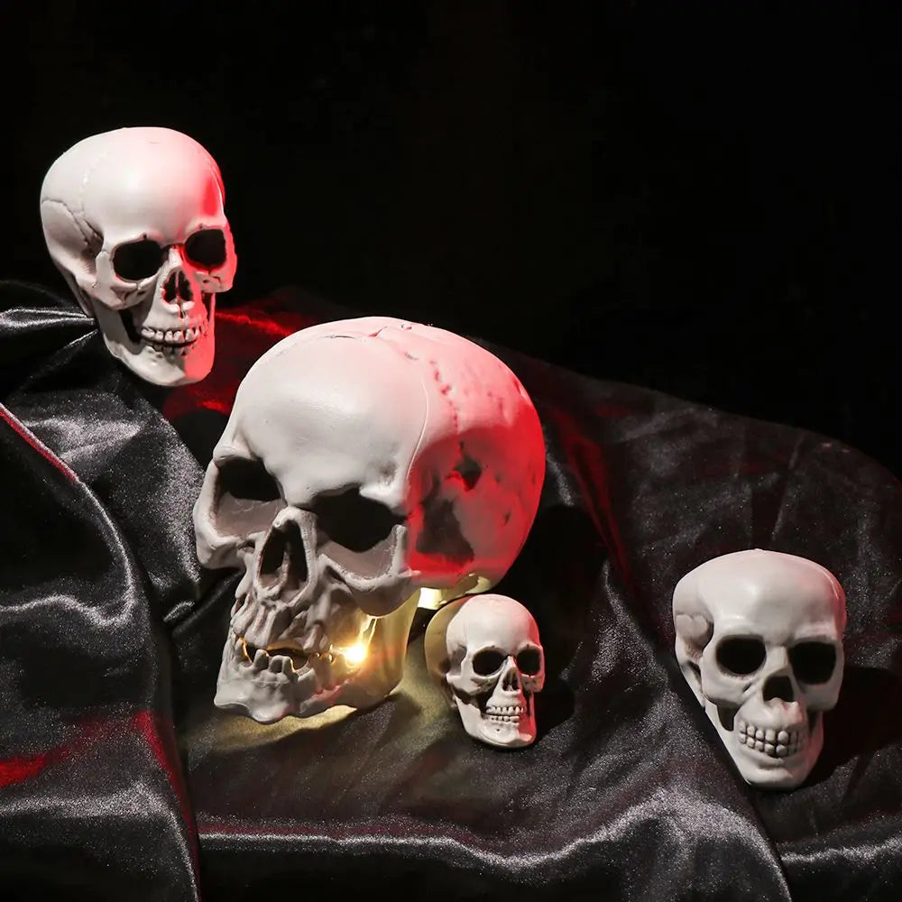 Authentic Horror Skull: Transform Any Space into a Spine-Chilling Experience