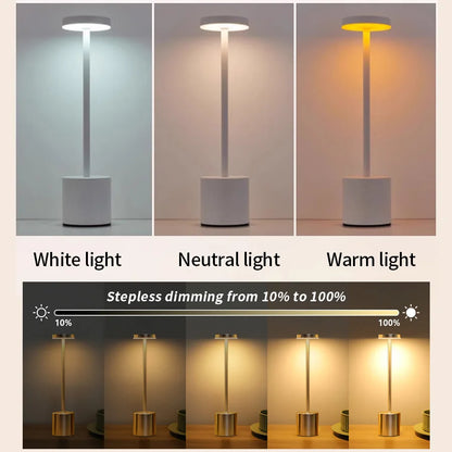 Sophisticated Ambience: Minimalist Touch Lamp, 3-Colour Stepless Dimming