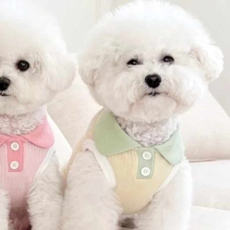 Dapper Dog: Cool & Comfy Polo Shirts for Pups
