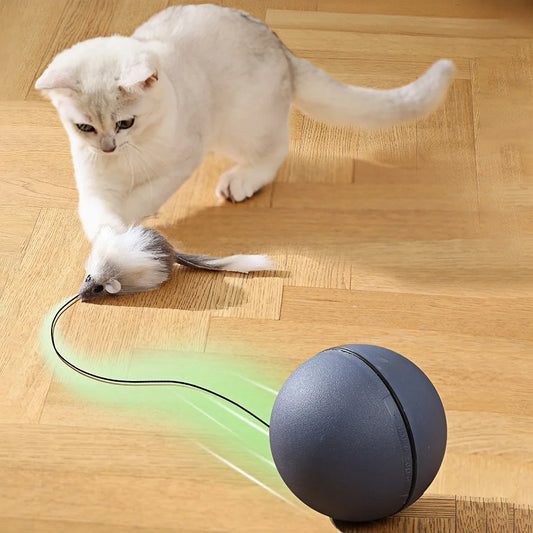 Interactive Cat Toy - Automatic Moving Mouse for Indoor Cats