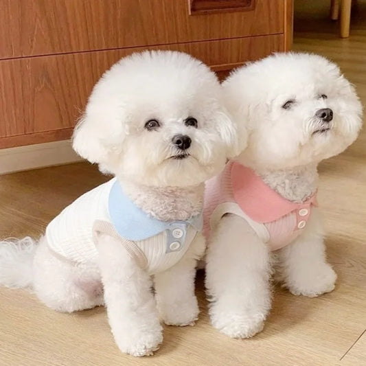 Dapper Dog: Cool & Comfy Polo Shirts for Pups