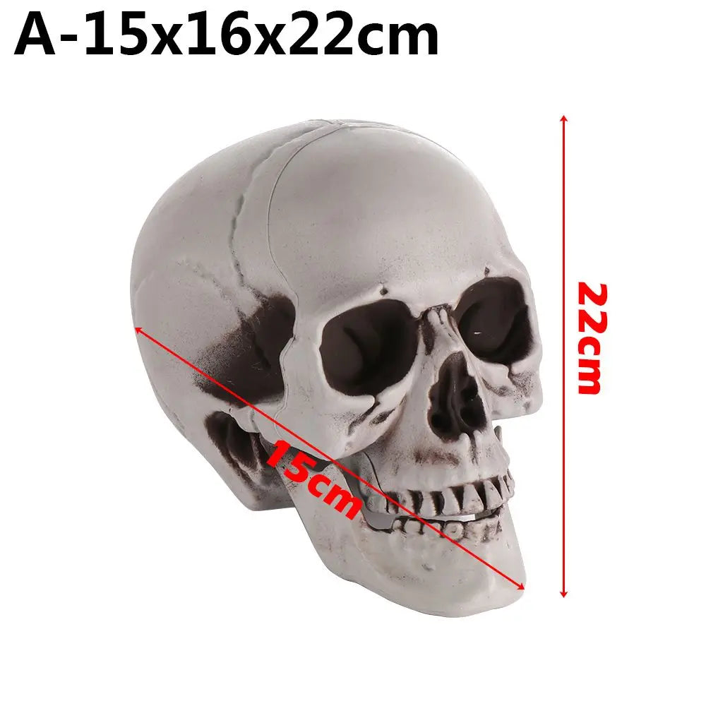 Authentic Horror Skull: Transform Any Space into a Spine-Chilling Experience