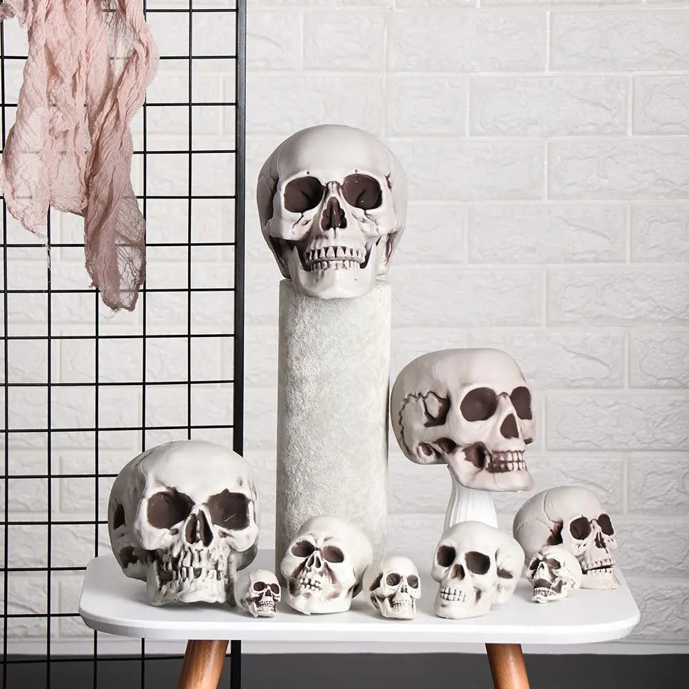Authentic Horror Skull: Transform Any Space into a Spine-Chilling Experience