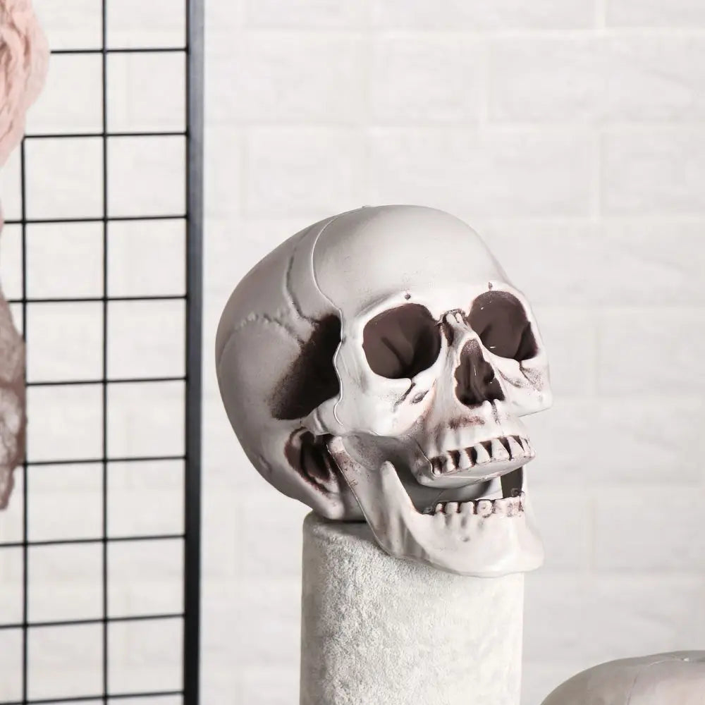 Authentic Horror Skull: Transform Any Space into a Spine-Chilling Experience
