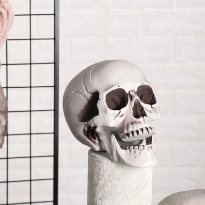 Authentic Horror Skull: Transform Any Space into a Spine-Chilling Experience