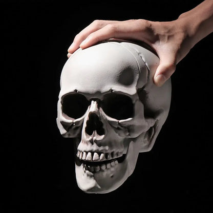Authentic Horror Skull: Transform Any Space into a Spine-Chilling Experience