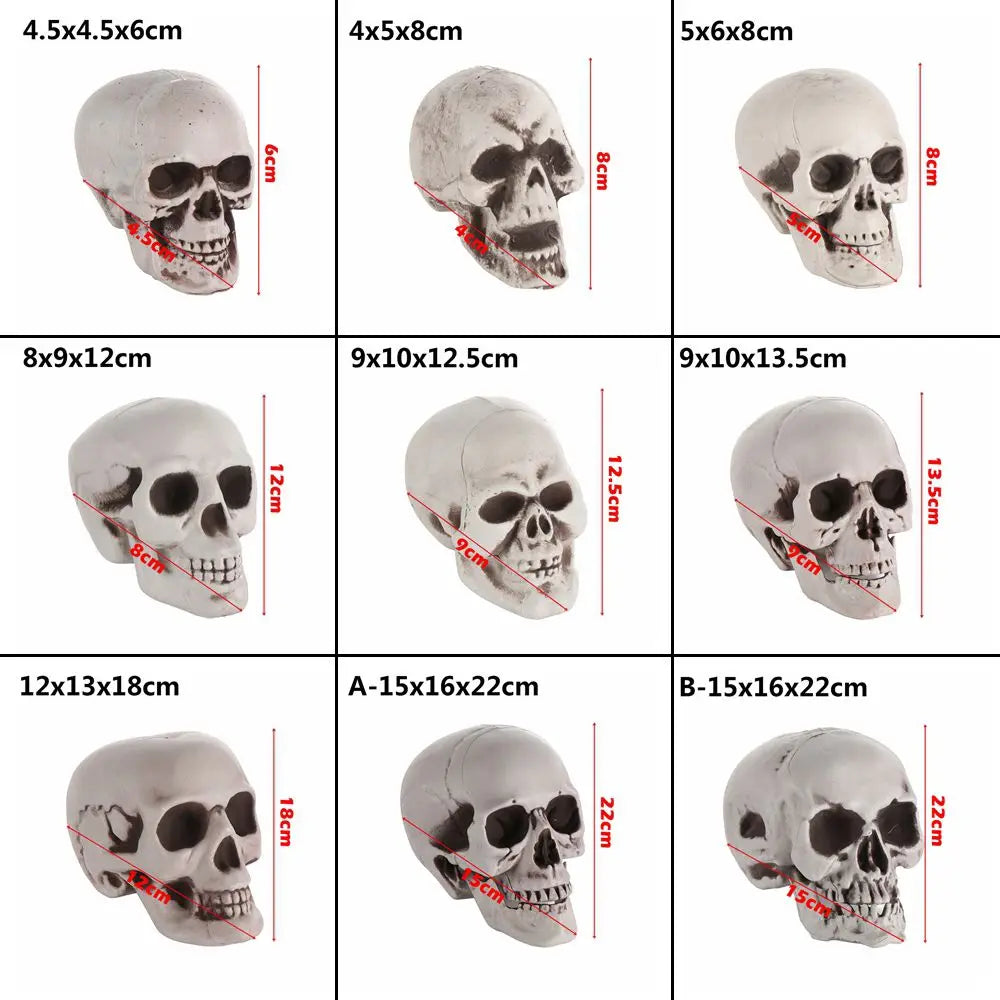 Authentic Horror Skull: Transform Any Space into a Spine-Chilling Experience