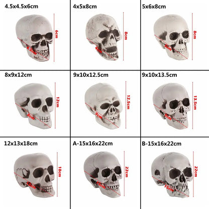 Authentic Horror Skull: Transform Any Space into a Spine-Chilling Experience