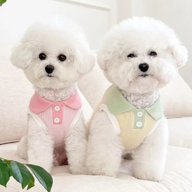 Dapper Dog: Cool & Comfy Polo Shirts for Pups