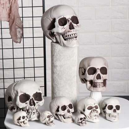 Authentic Horror Skull: Transform Any Space into a Spine-Chilling Experience