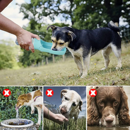 Botella de agua portátil para perros: dispensador plegable para aventuras al aire libre