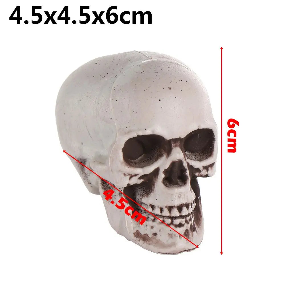 Authentic Horror Skull: Transform Any Space into a Spine-Chilling Experience