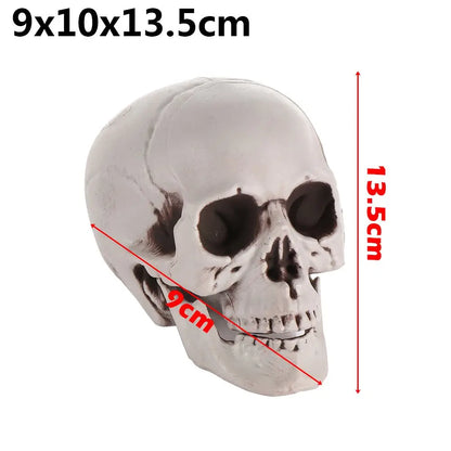 Authentic Horror Skull: Transform Any Space into a Spine-Chilling Experience