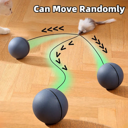 Interactive Cat Toy - Automatic Moving Mouse for Indoor Cats