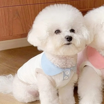 Dapper Dog: Cool & Comfy Polo Shirts for Pups
