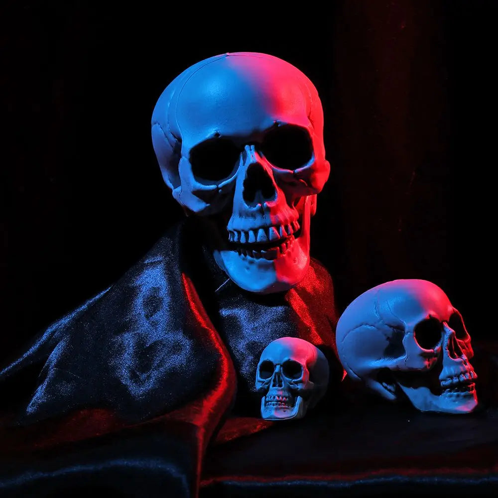 Authentic Horror Skull: Transform Any Space into a Spine-Chilling Experience