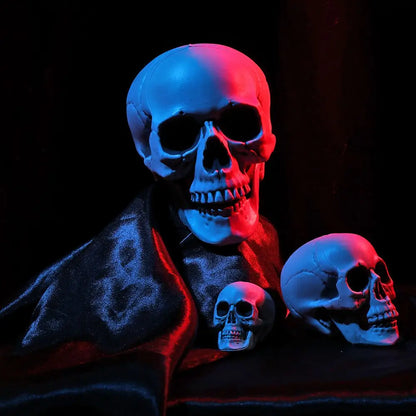 Authentic Horror Skull: Transform Any Space into a Spine-Chilling Experience