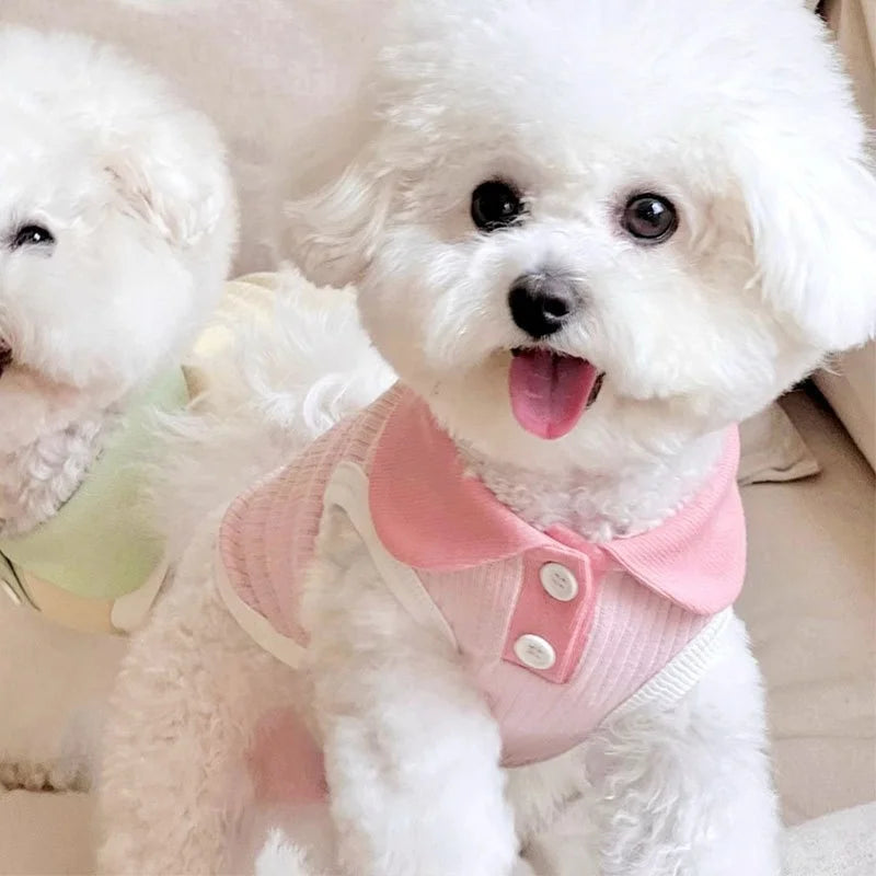 Dapper Dog: Cool & Comfy Polo Shirts for Pups