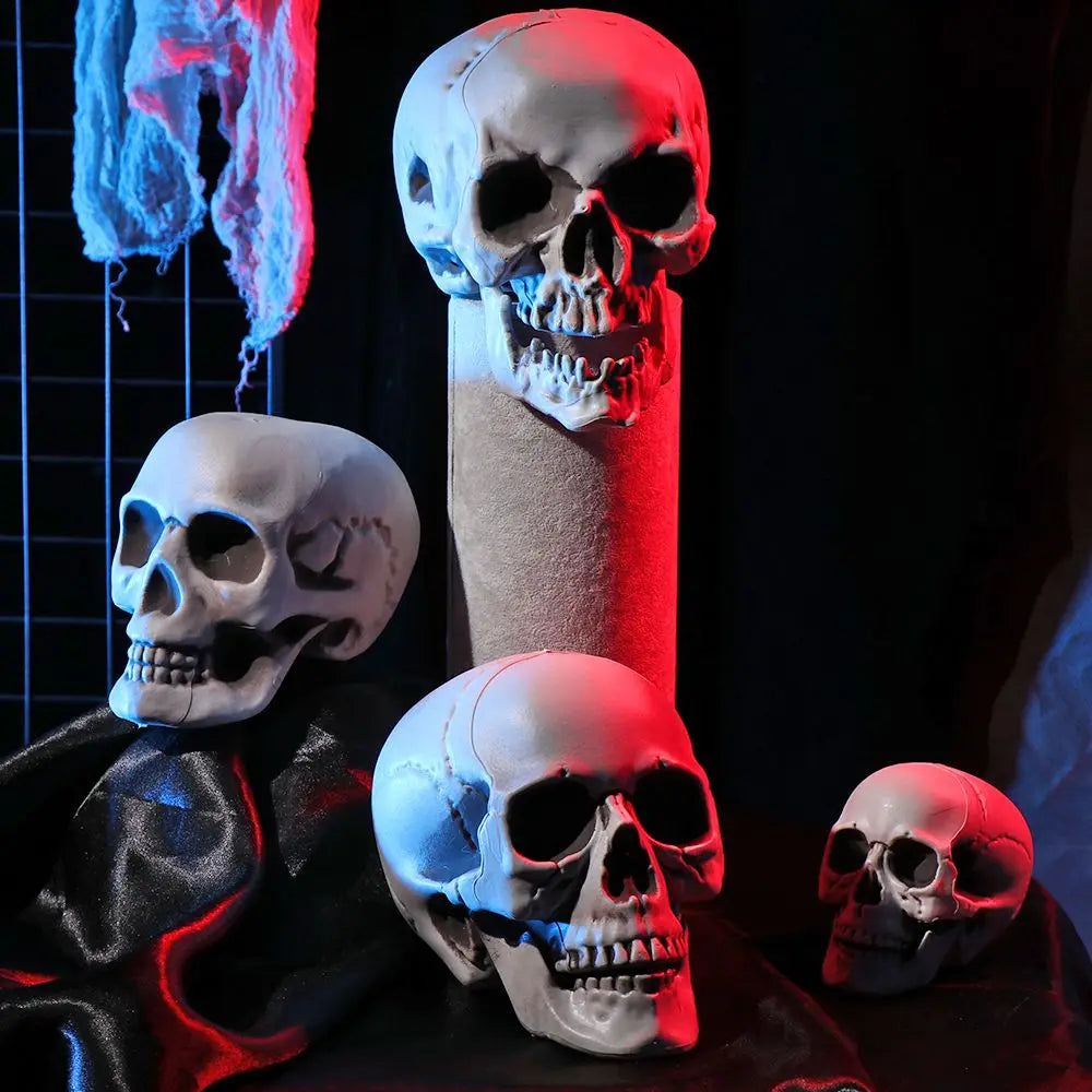 Authentic Horror Skull: Transform Any Space into a Spine-Chilling Experience