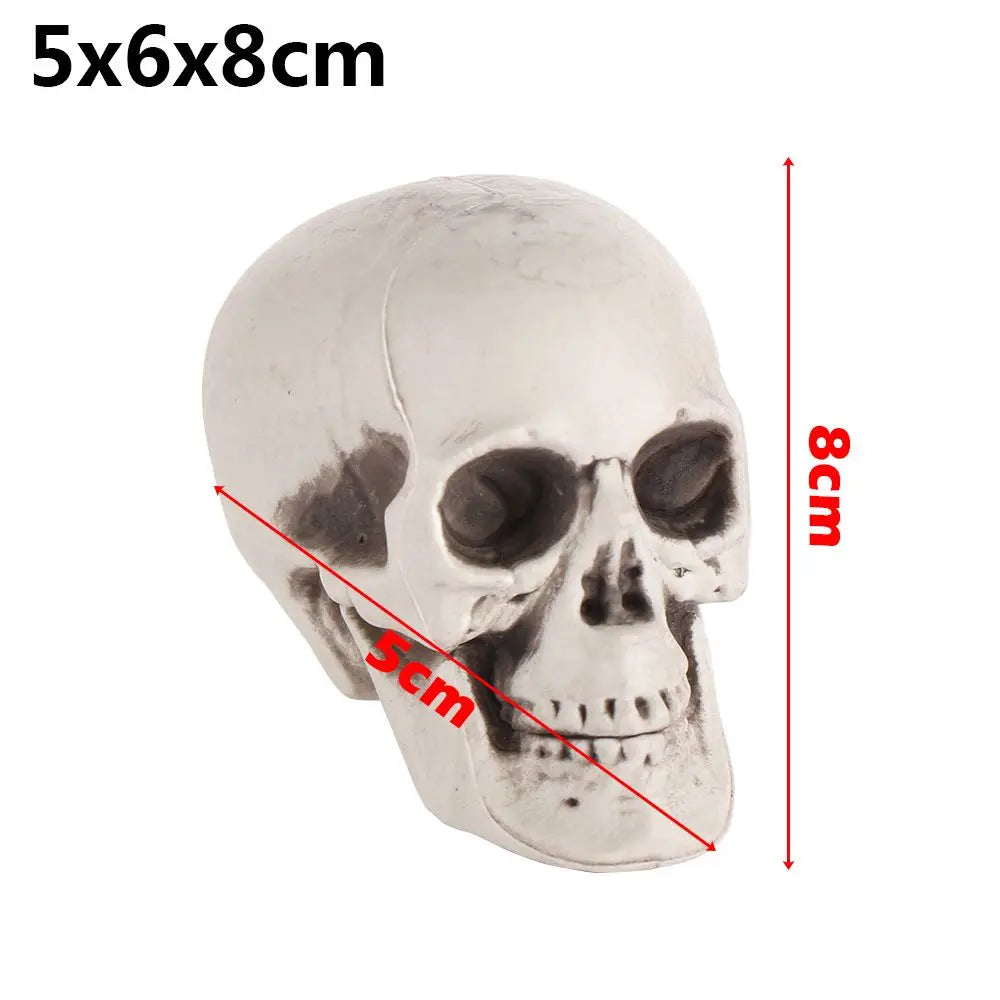 Authentic Horror Skull: Transform Any Space into a Spine-Chilling Experience
