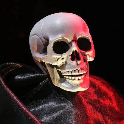 Authentic Horror Skull: Transform Any Space into a Spine-Chilling Experience