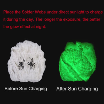 Scary Glow in the Dark Spider Web