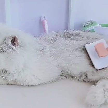 Hair Removal and Cleaning Brush for Cats and Dogs.